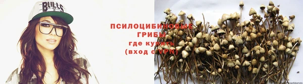 ПСИЛОЦИБИНОВЫЕ ГРИБЫ Алзамай