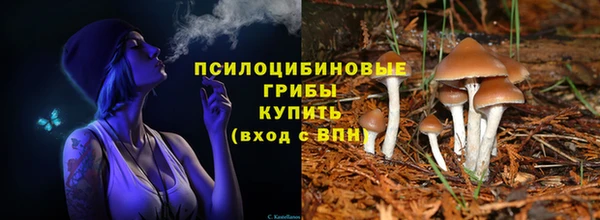 ПСИЛОЦИБИНОВЫЕ ГРИБЫ Алзамай